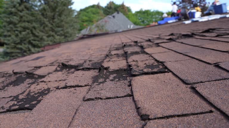 Roof Insulation in Oconomowoc, WI